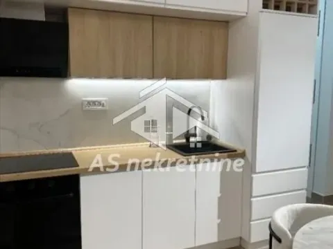 Izdavanje, dvosoban stan, 55m², Stari Grad, Beograd - image 9