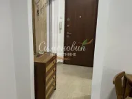 Izdavanje, jednosoban stan, 38m², Karaburma, Palilula Sve Podlokacije - image 7