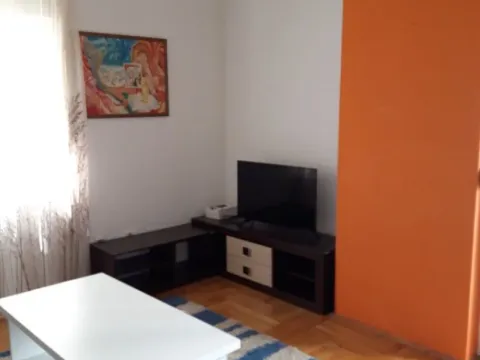Izdavanje, jednosoban stan, 45m², Ljubović, Podgorica - image 3