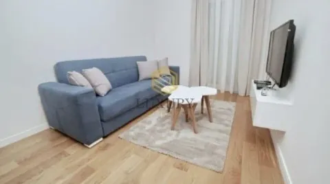 Dnevna soba sa plavom sofom, stočićem, tepihom i televizorom. - image 6