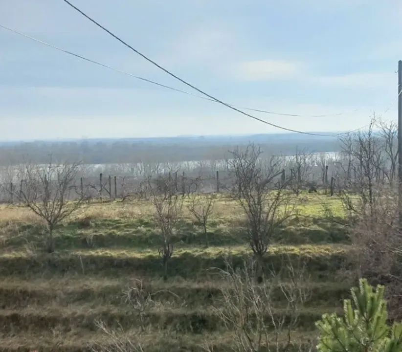 Sale, land lot, 5200m², Belegiš, Stara Pazova
