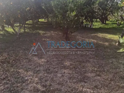 Prodaja, kuća, 100m², Bar, Crna Gora - image 7