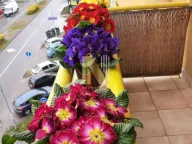 Izdavanje, dvosoban stan, 46m², Nova Detelinara, Novi Sad Sve Podlokacije - image 15