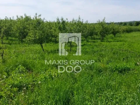 Prodaja, plac, 64800m², Kosmaj, Sopot - image 12