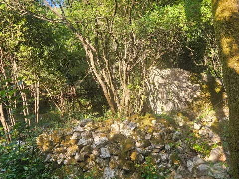 Prodaja, plac, 8000m², Mojdež, Herceg Novi - image 4