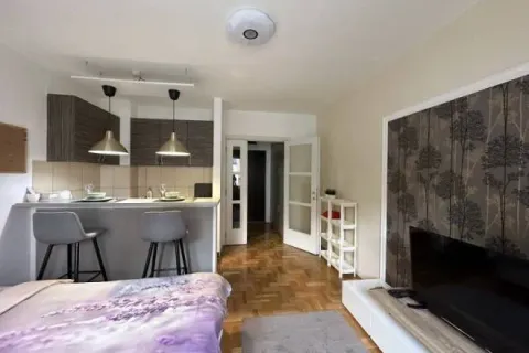 Rent, one bedroom apartment, 25m², Južni Bulevar, Vračar Sve Podlokacije - image 5