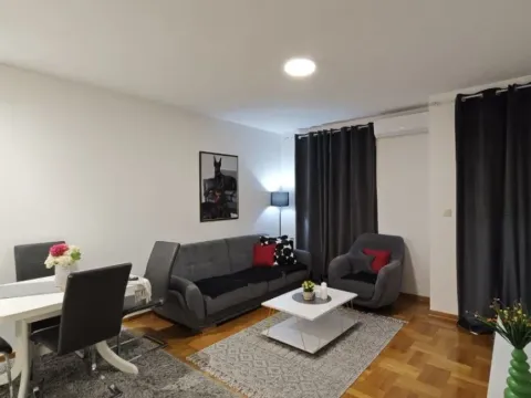 Stan-na-dan, jednosoban stan, 44m², Stari Aerodrom, Podgorica - image 3