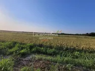 Prodaja, plac, Jakovo, Surčin - image 6