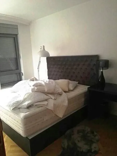 Rent, four bedroom apartment, 210m², Bezanijska Kosa 1, Bežanijska Kosa Sve Podlokacije