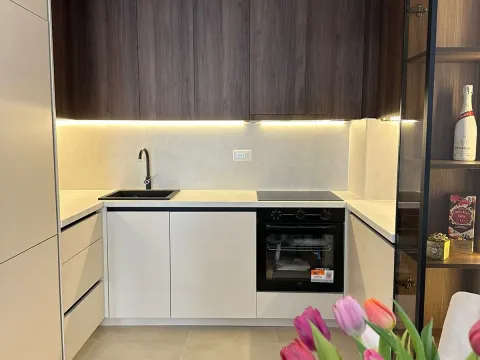 Rent, apartment, 45m², Zabjelo, Podgorica - image 4