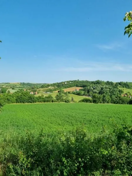 Prodaja, plac, 8400m², Sremski Karlovci, Novi Sad