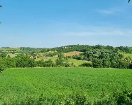 Prodaja, plac, 8400m², Sremski Karlovci, Novi Sad - image 12