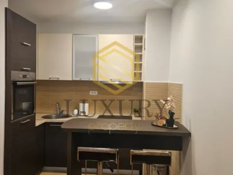 Izdavanje, jednosoban stan, 49m², Tološka šuma, Podgorica - image 3