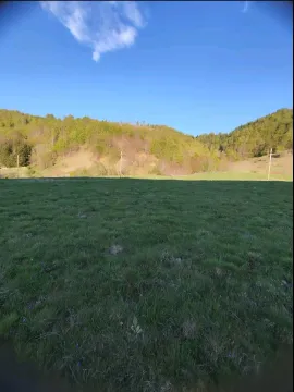 Pogled na zelenu livadu i šumovita brda u okolini. - image 16