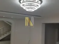 Izdavanje, poslovni prostor, 550m², Petrovaradin, Novi Sad - image 14