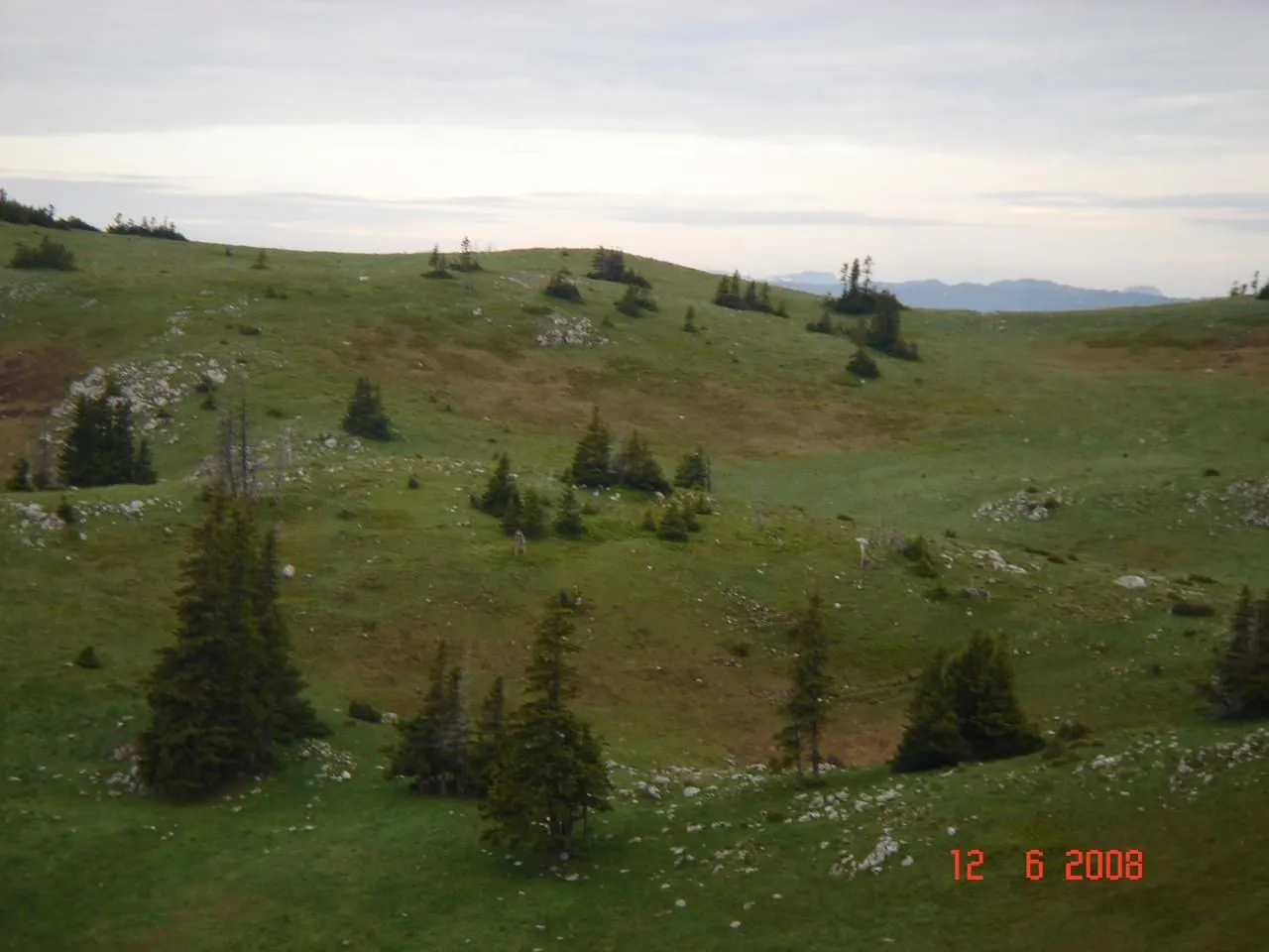 Prodaja, plac, 450000m², Centar, Žabljak