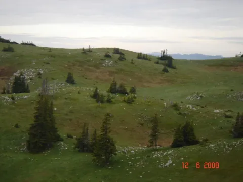 Prodaja, plac, 450000m², Centar, Žabljak - image 9