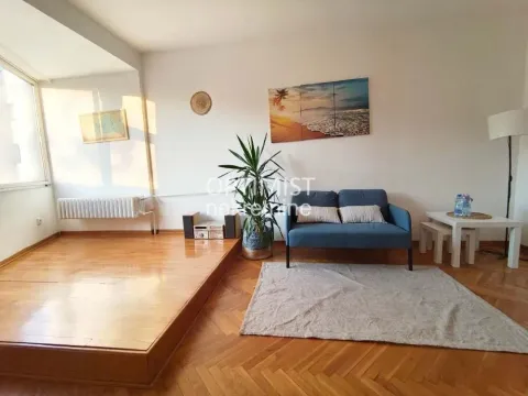 Dnevna soba sa drvenim podom, plavom sofom i tepihom. - image 5
