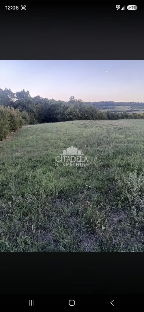 Pogled na zelenu parcelu sa rastinjem i drvećem.