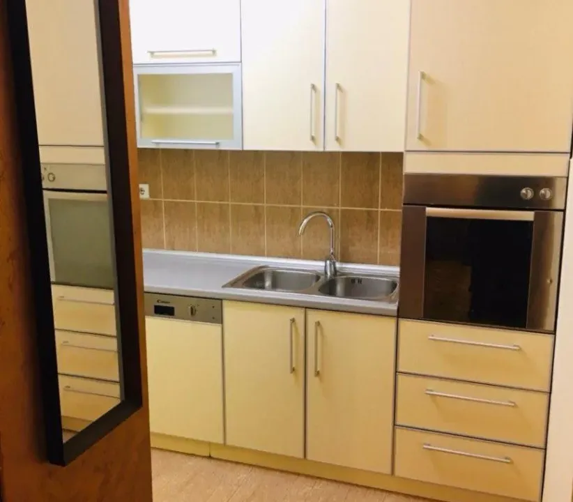 Izdavanje, jednosoban stan, 48m², Stari Aerodrom, Podgorica