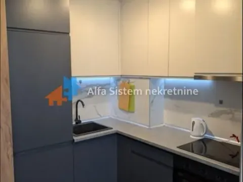 Izdavanje, dvosoban stan, 45m², Novi Beograd Blok 63, Novi Beograd Sve Podlokacije - image 14