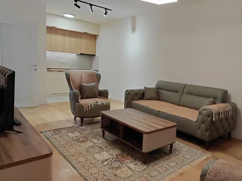 Izdavanje, jednosoban stan, 49m², Central Point, Podgorica - image 2