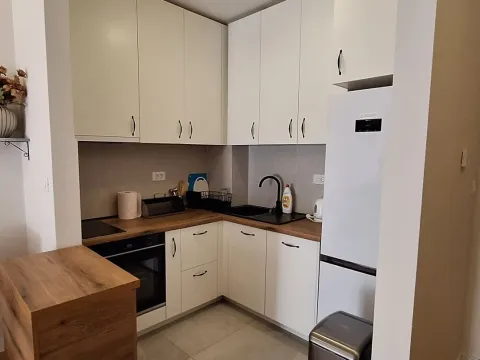 Izdavanje, jednosoban stan, 40m², Central Point, Podgorica - image 3