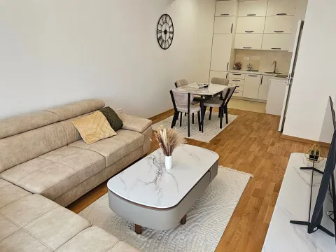 Izdavanje, jednosoban stan, 47m², Zabjelo, Podgorica - image 5