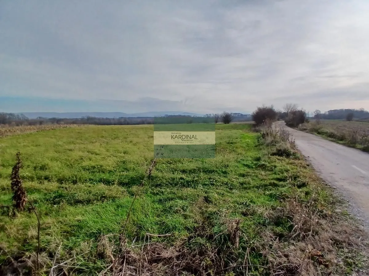 Sale, office space, 723m², Veliki Popović, Despotovac