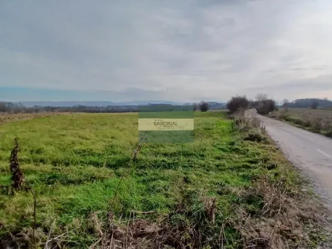 Sale, office space, 723m², Veliki Popović, Despotovac - image 36