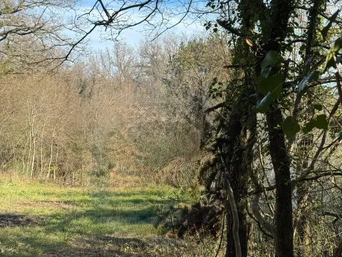 Prodaja, plac, 610m², Sasovići, Herceg Novi - image 5