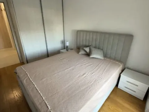 Izdavanje, jednosoban stan, 49m², Central Point, Podgorica - image 5