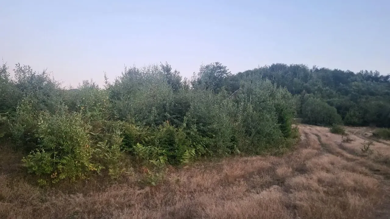 Sale, land lot, 600m², Kolašin, Crna Gora