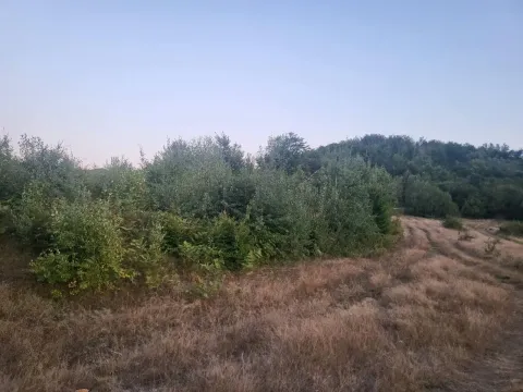 Prodaja, plac, 600m², Kolašin, Crna Gora