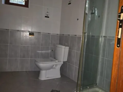 Rent, house, 250m², Sajmište, Novi Sad - image 2