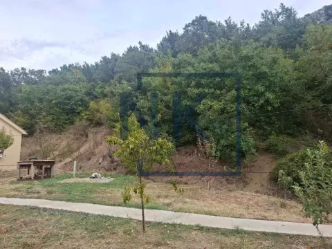 Zeleno dvorište sa stablima i dijelom kuće. - image 4