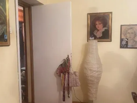 Sale, two bedroom apartment, 50m², Crveni Krst, Beograd - image 2