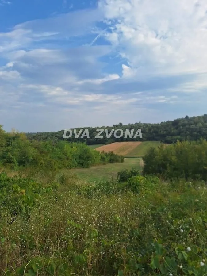 Prodaja, plac, 1100m², Čortanovci, Inđija