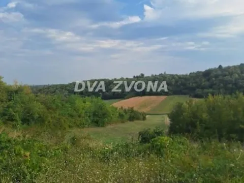 Prodaja, plac, 2200m², Čortanovci, Inđija - image 3