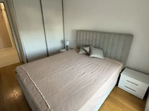 Izdavanje, jednosoban stan, 49m², Central Point, Podgorica - image 4