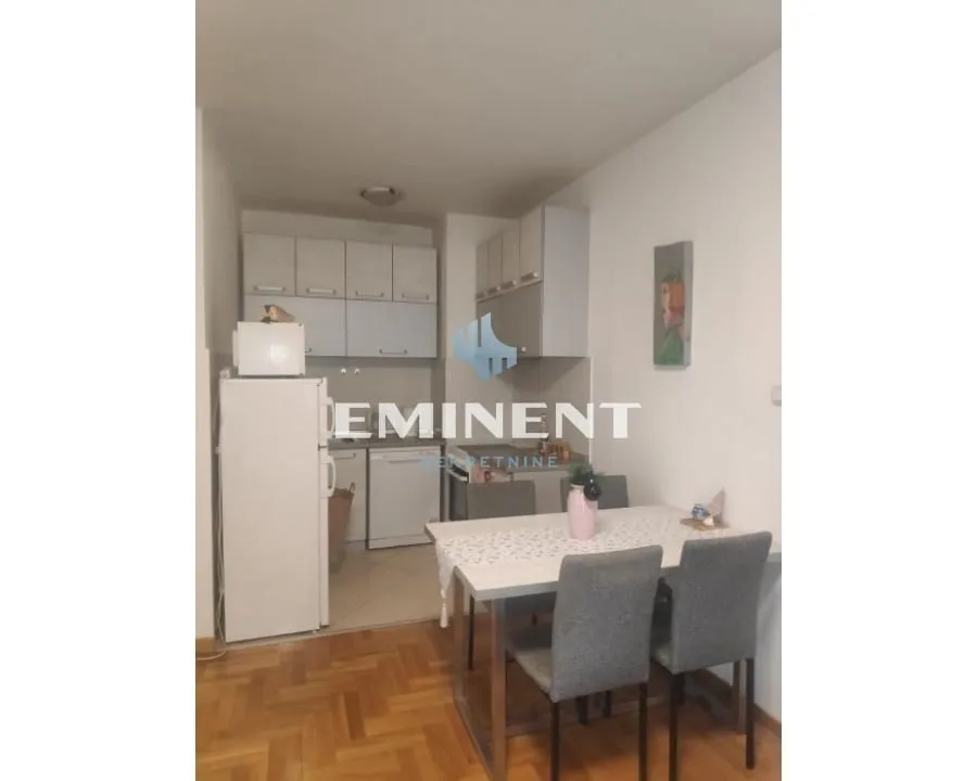 Izdavanje, dvosoban stan, 46m², Tašmajdan, Palilula Sve Podlokacije