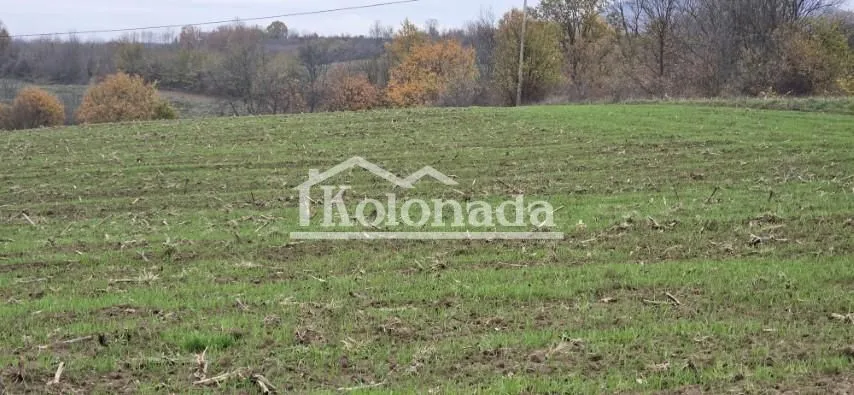 Prodaja, plac, 1000m², Sopot, Beograd