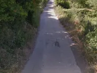 Sale, land lot, 3580m², Kotor, Crna Gora - image 3