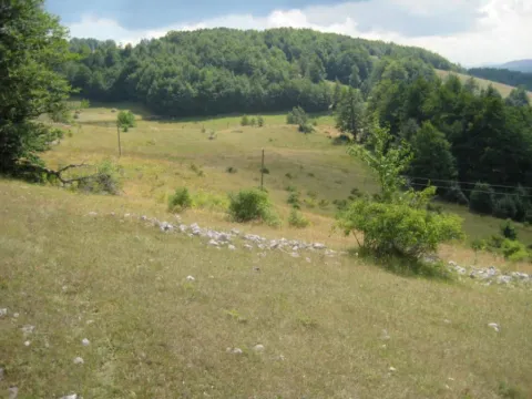 Prodaja, plac, 199938m², Donja Bukovica, Šavnik - image 7