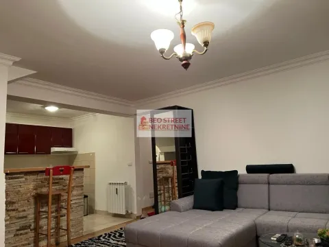 Izdavanje, jednosoban stan, 55m², Zvezdara Sve Podlokacije, Beograd - image 3