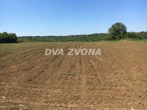 Prodaja, plac, 1300m², Čortanovci, Inđija - image 4