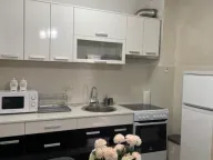 Izdavanje, jednosoban stan, 45m², Stari Aerodrom, Podgorica - image 8