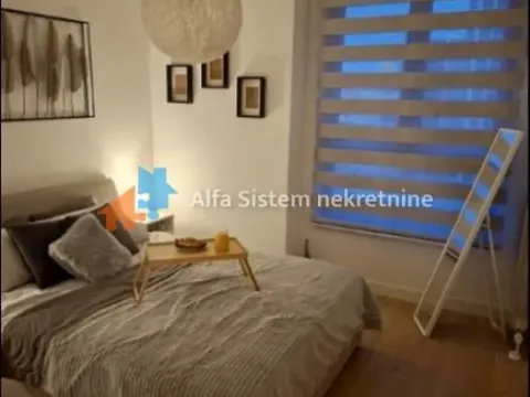 Izdavanje, dvosoban stan, 51m², Savski Venac, Beograd - image 8