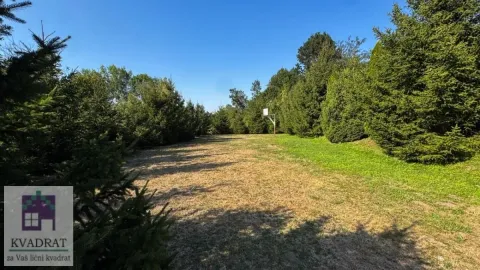 Travnato dvorište okruženo četinarskom šumom sa košem za košarku. - image 34