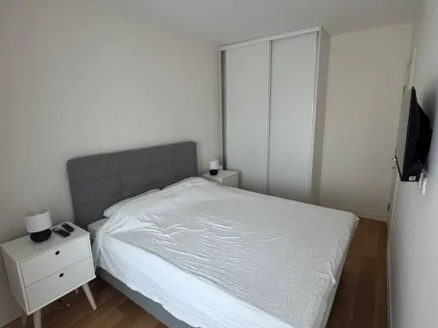 Izdavanje, jednosoban stan, 40m², Central Point, Podgorica - image 12